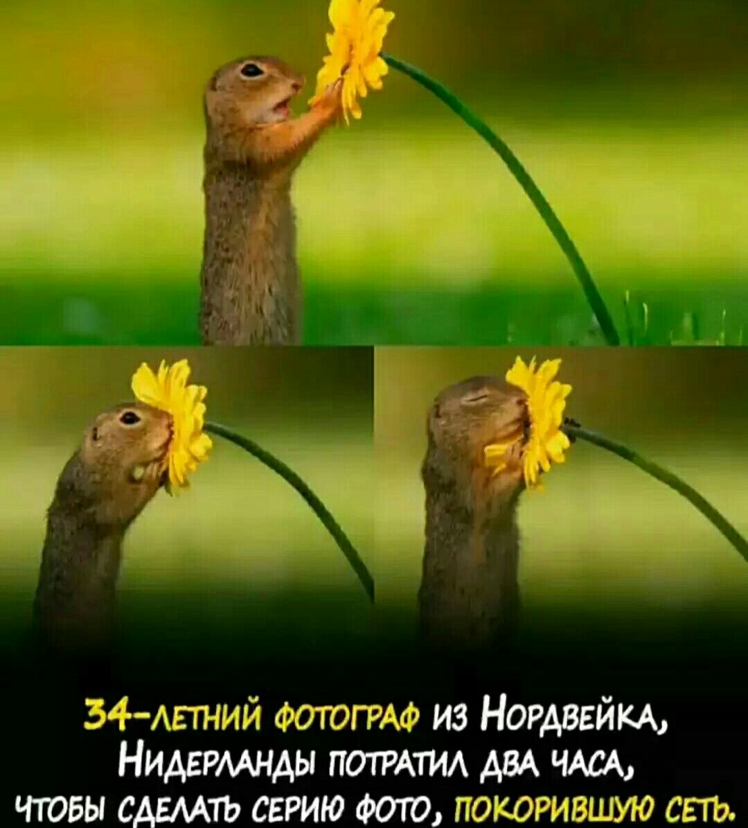 54 Апний Фотогид из Ногдвейм Нидгшщы пошти ш щ чювы сдвмть сдию от покоривцма шь