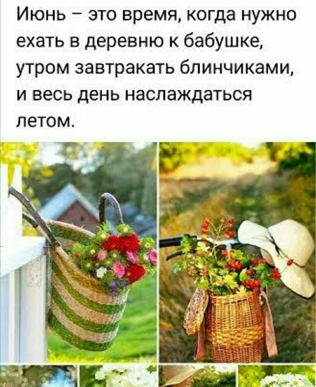 Июнь это время когда нужно ехать в деревню к бабушке утром завтракать бпинчиками и весь день наслаждаться летом