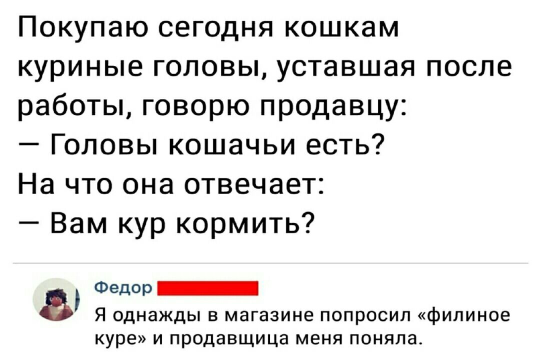 Покупаю сегодня кошкам куриные гоповы уставшая после работы говорю продавцу Головы кошачьи есть На что она отвечает Вам кур кормить Федор 8 и однажды в маг в п е куреш и продавщица мени поняла