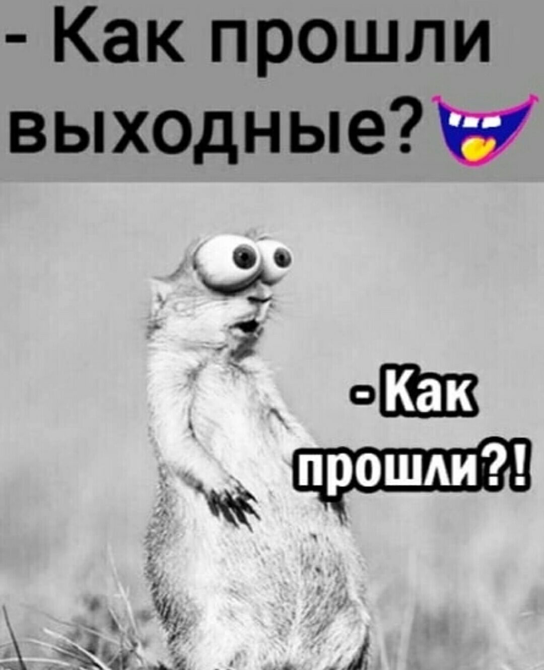 Как прошли выходные и _ 3 _ окт 3 Л 1
