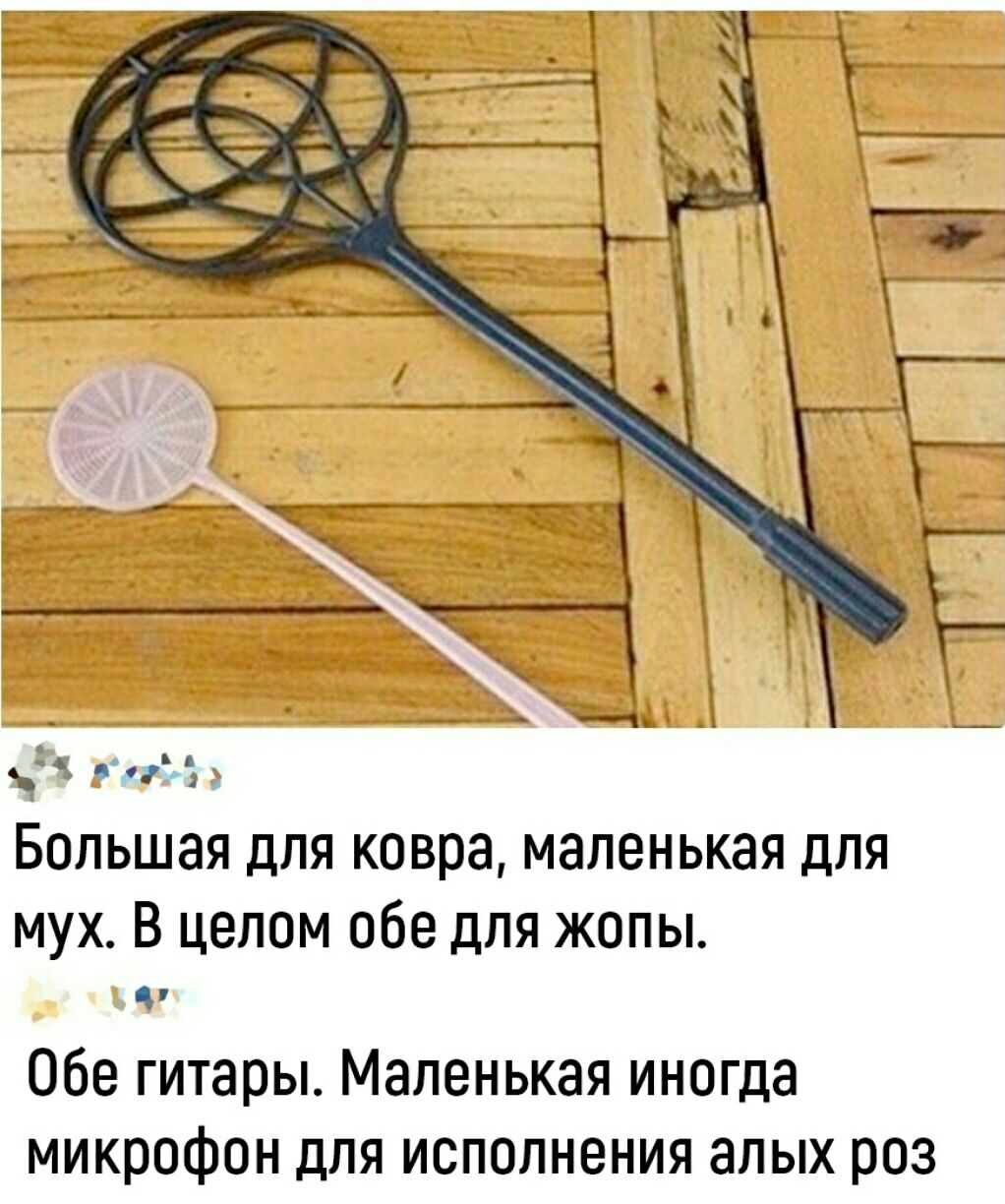 Большая дПЯ ковра маленькая для мух в цеппм обе для жопы Обе гитары Маленькая иногда микрофон для исполнения алых роз