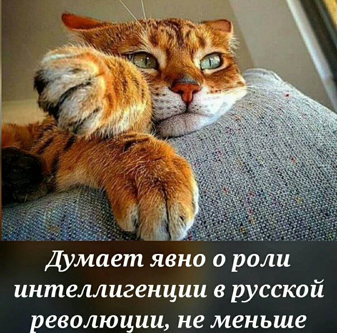 Думает ясно о роли интеллигенции в русской революции не меньше