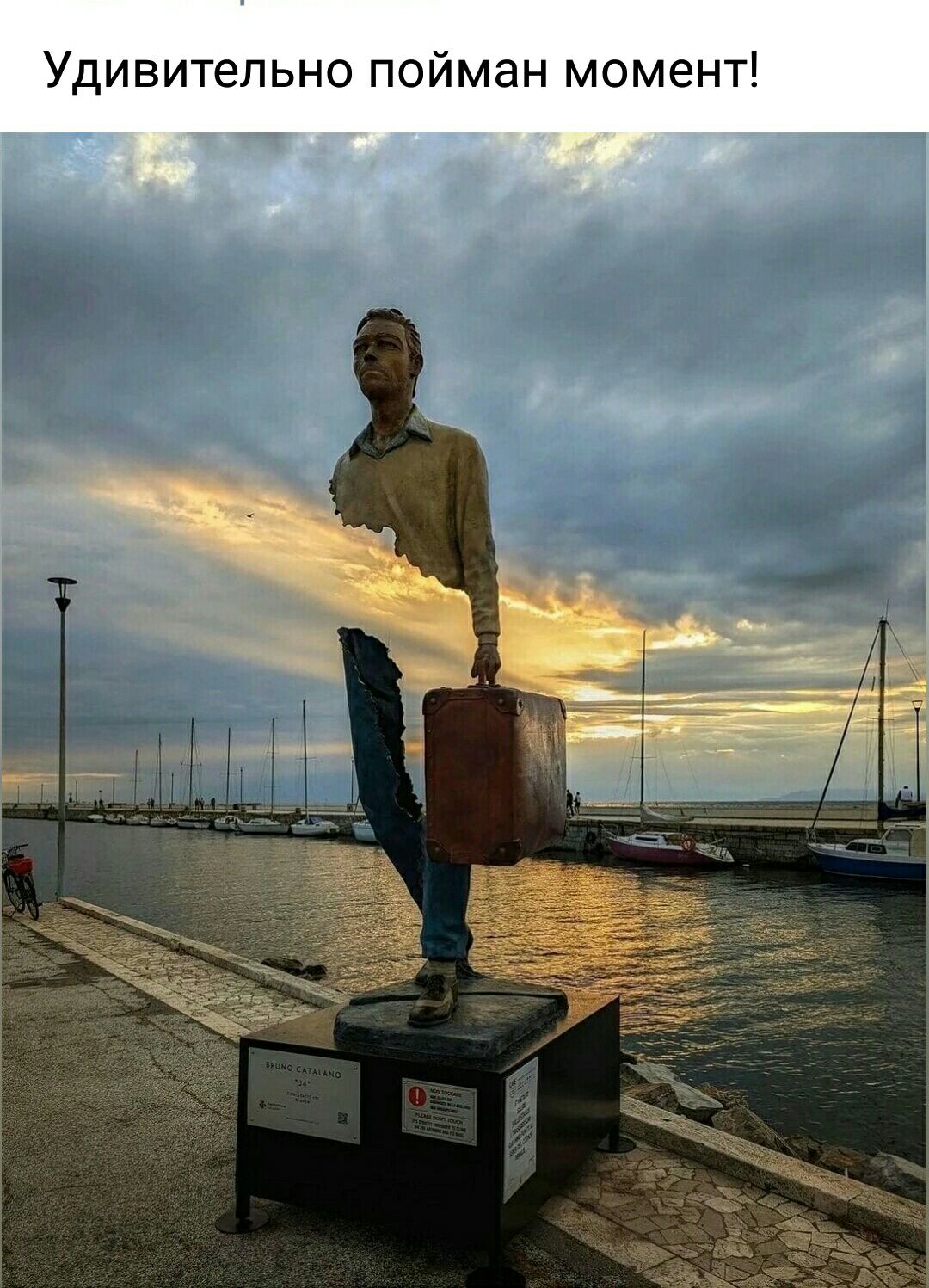 Удивительно пойман момент