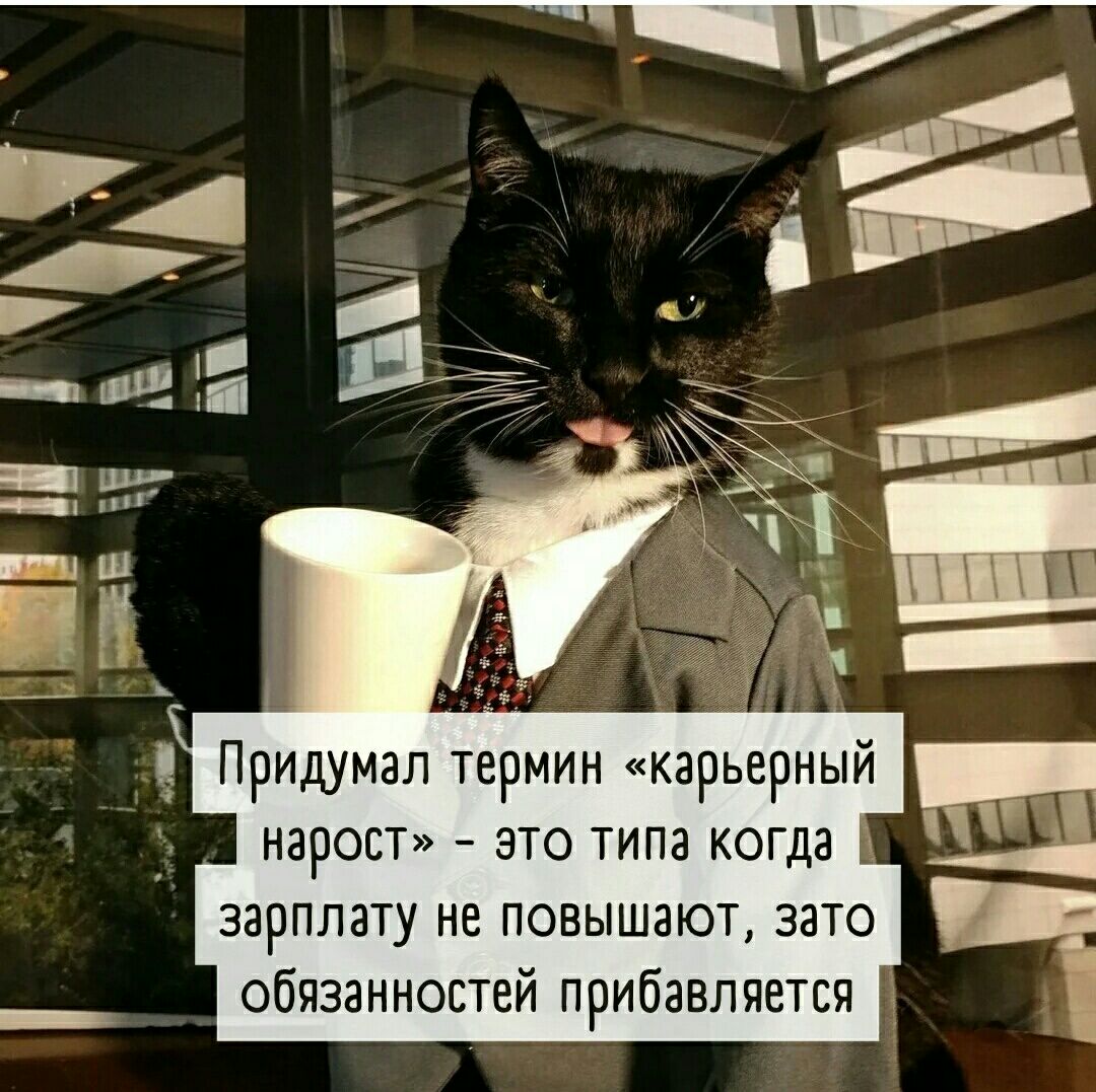 нарост это типа когда зарплату не повышают зато обязанностей прибавляется