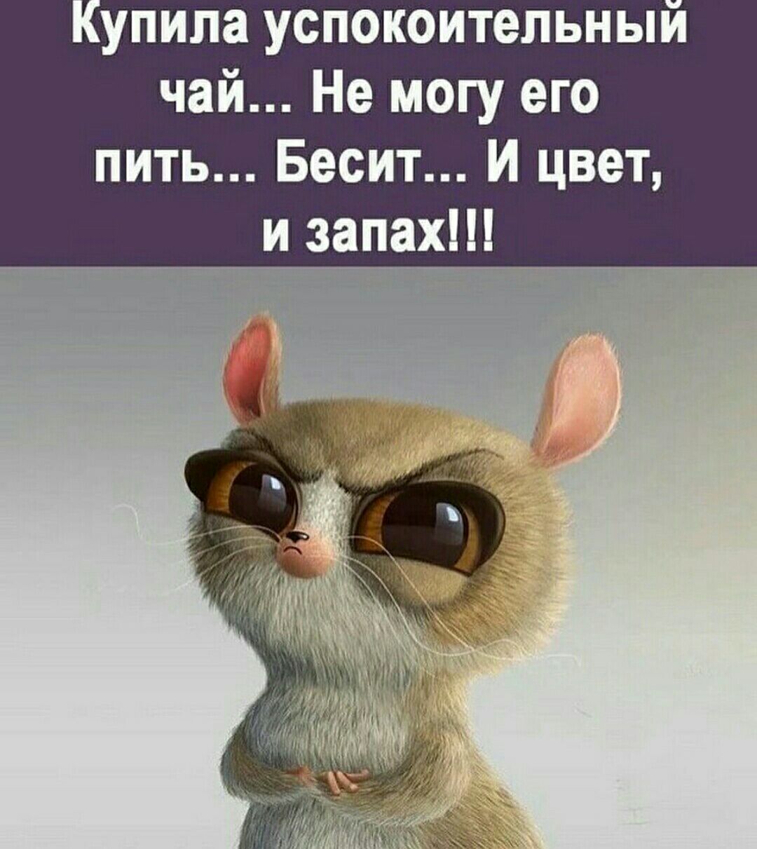 упила успокоительныи чай Не могу его пить Бесит И цвет и запах