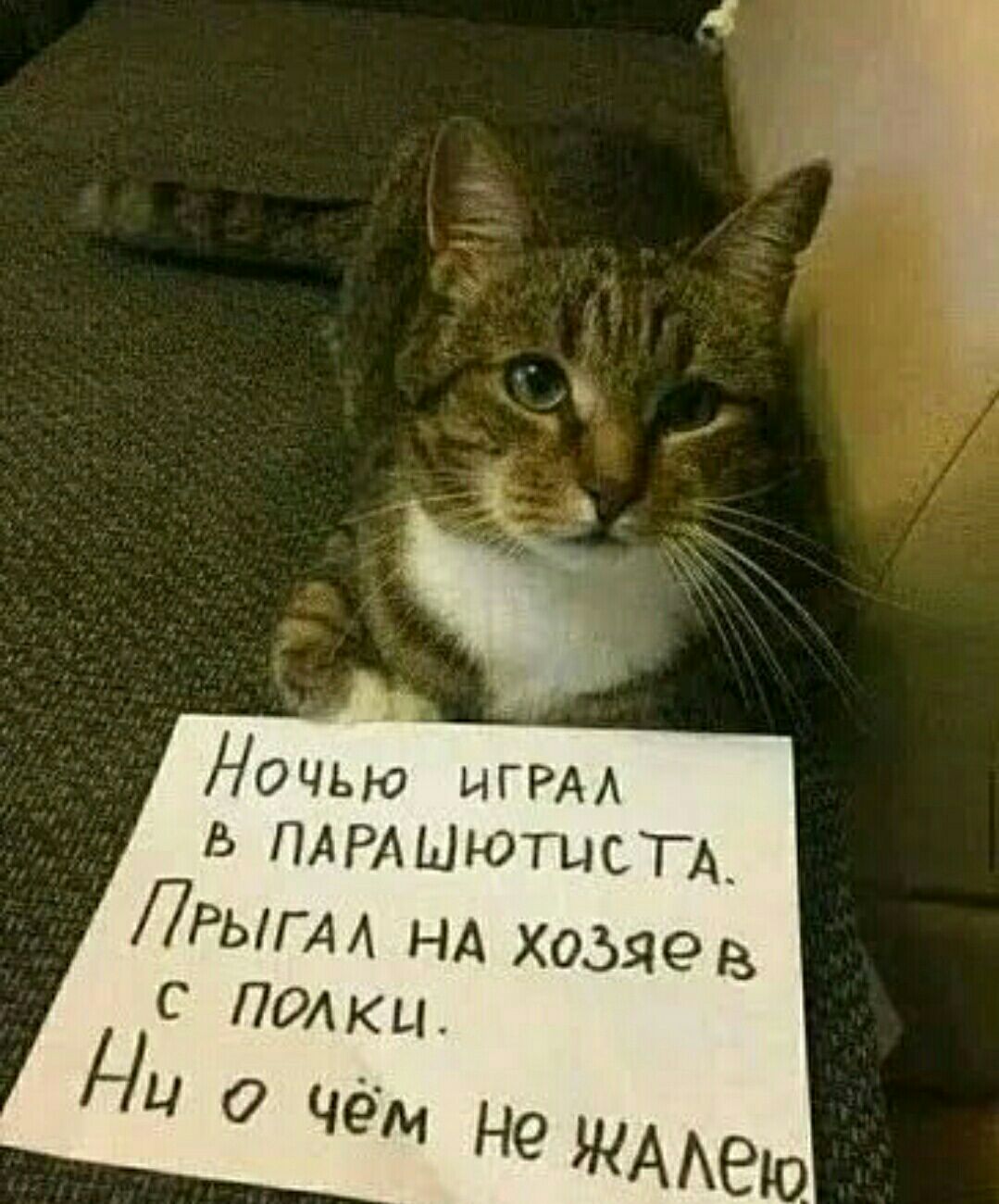 НОЧЬЮ ИГРА ПА РА Шютысп 7Рыгм нА Хозяев С ПОАкц