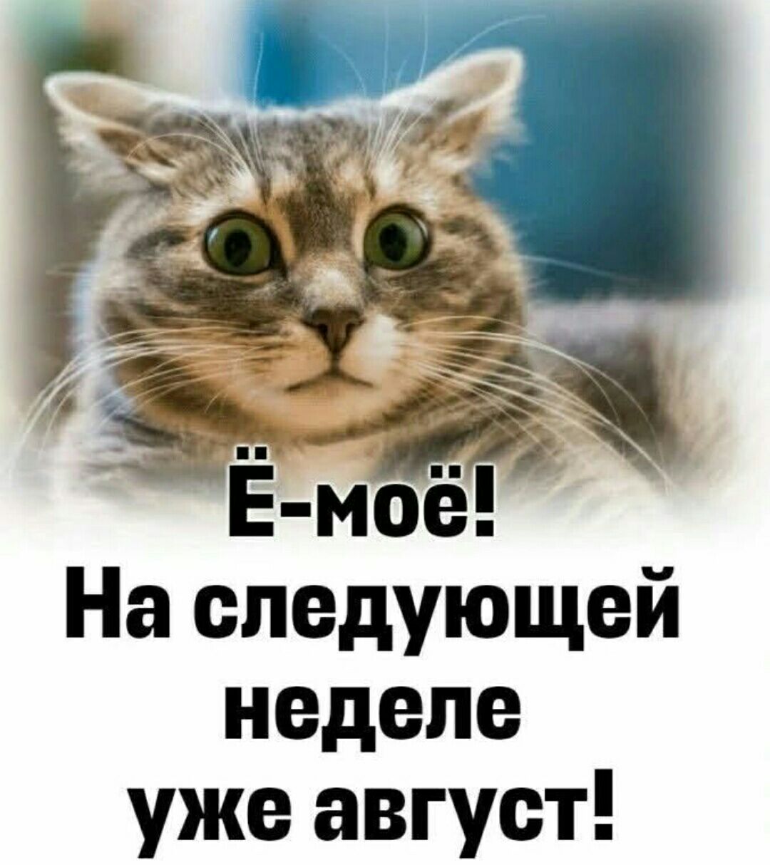 На спедупещей неделе уже август