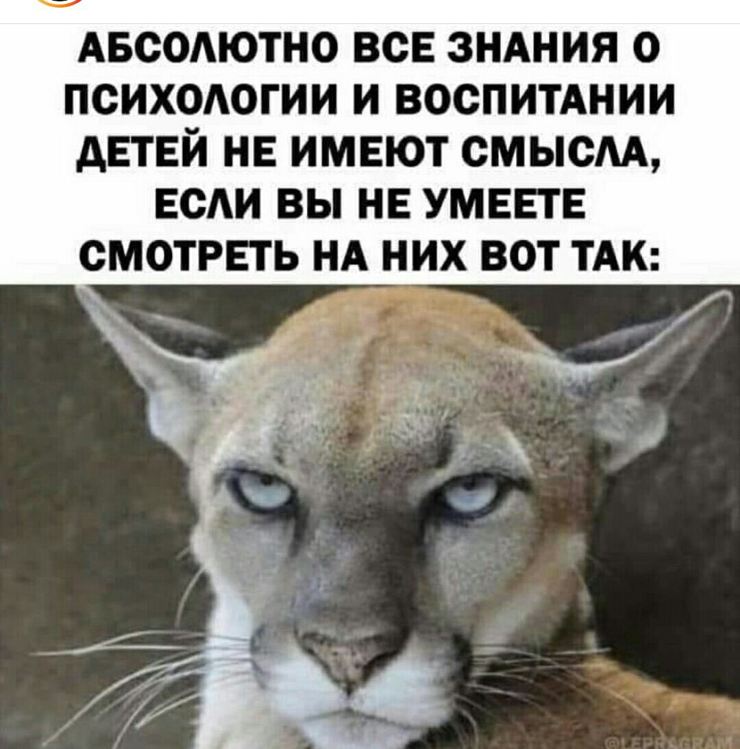 АБСОМОТНО ВСЕ ЗНАНИЯ О ПСИХОАОГИИ И ВОСПИТАНИИ АЕТЕИ НЕ ИМЕЮТ СМЫСЛА ЕСАИ ВЫ НЕ УМЕЕТЕ СМОТРЕТЬ НА НИХ ВОТ ТАК