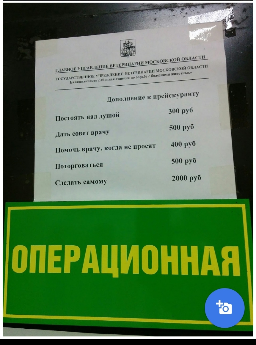 135 _ упппь1рш_ншншмгппчткоштык и шин ним и п ниш ч м шип іппшпснис прсіісщрзш гу 300 р 6 Пистоят ь н гы дупшй Дать совы врачу 500 рп Тшшчь врачу к та не прости 400 р_ 6 101 оргошп ься 500 руб слать сгпюму 2000 руб