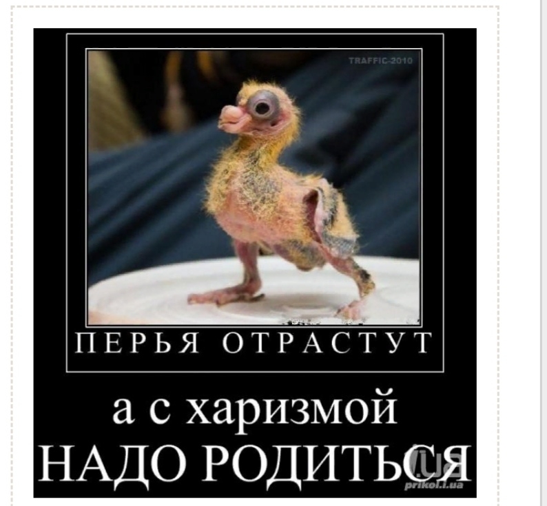 Надо родиться. Харизма прикол. Шутки про харизму. Анекдоты про харизму. Про харизму цитаты смешные.