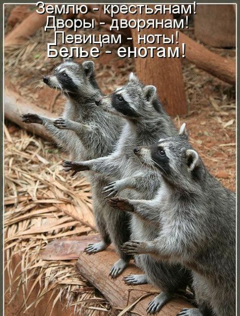 мпю кр ьянам воды дворянам ицам ноты