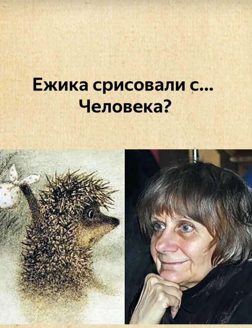 Ежика срисовали с Человека