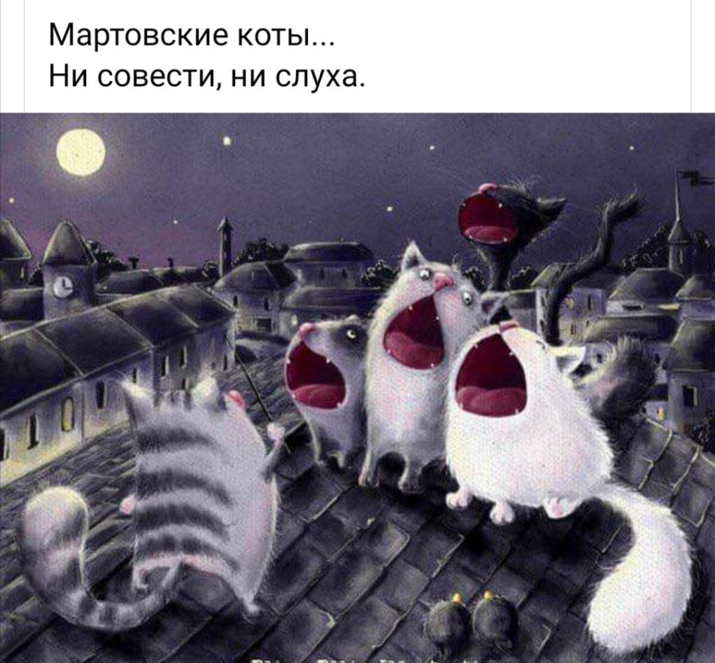 Мартовские коты Ни совести ни слуха