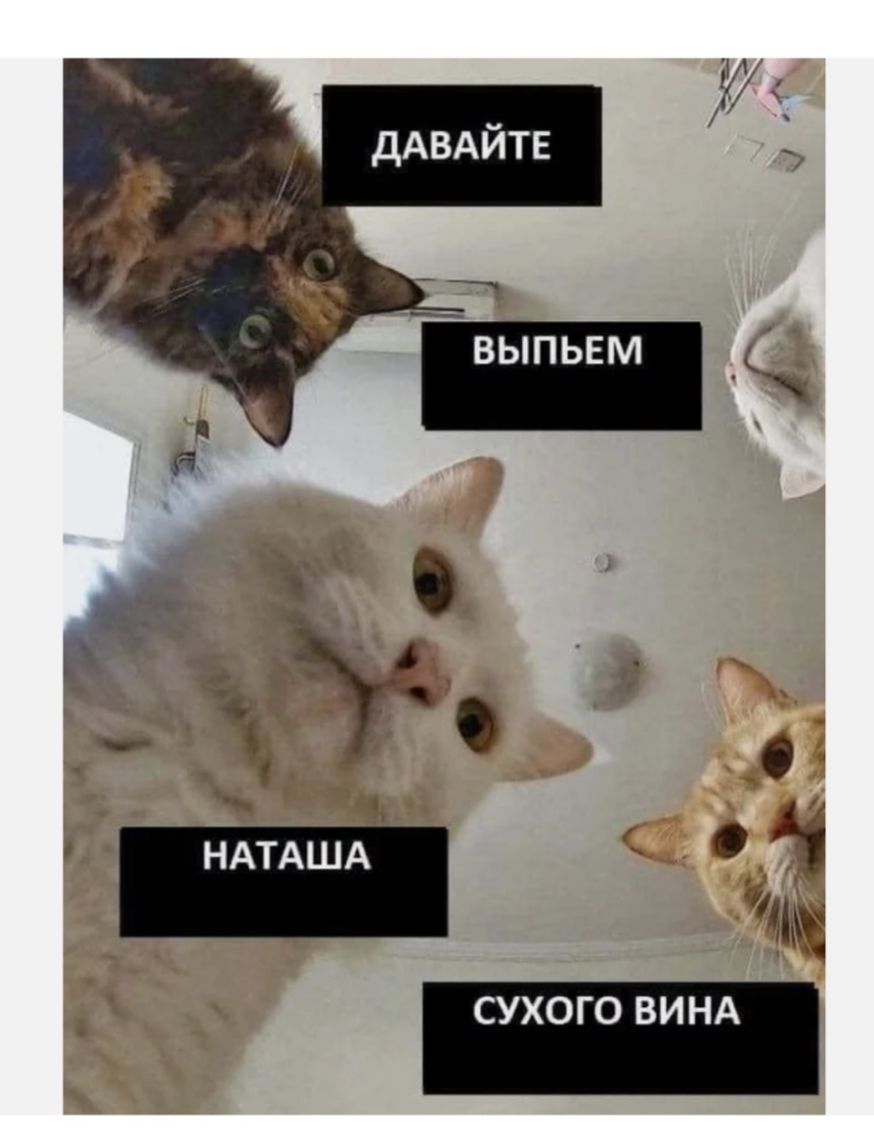 о д НАТАША _ А а _ сухого винд