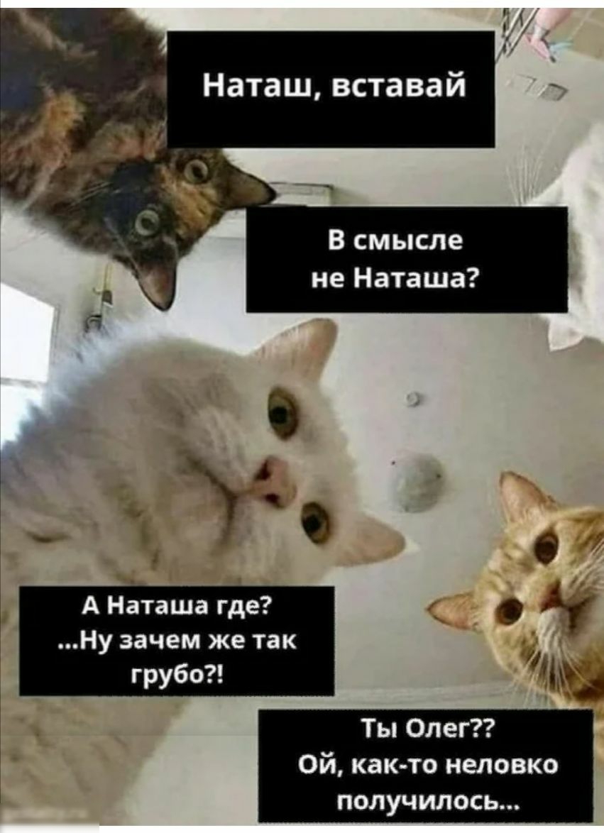 В смысле не Наташа А Наташа где Ну зачем же так грубо 3 Ты Олег ой как то неловко получилось