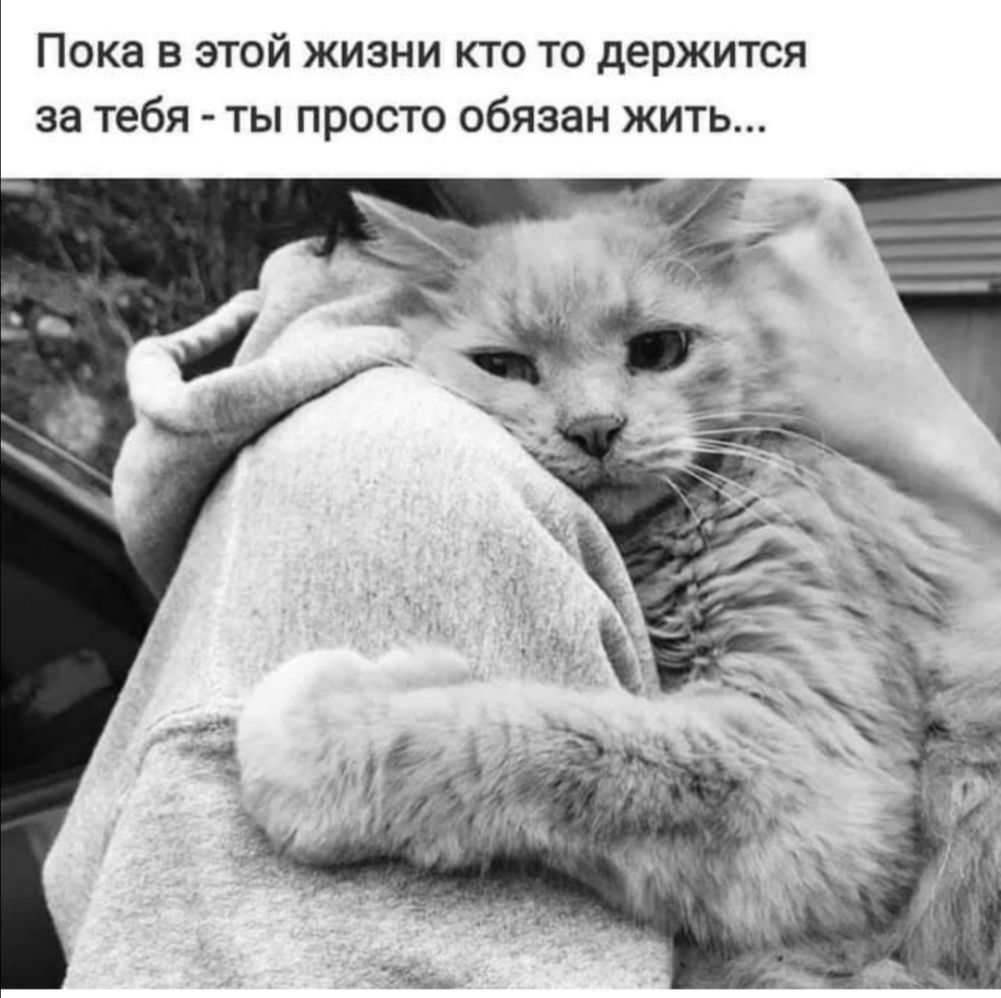 Пока в этой жизни кто то держится за тебя ты просто обязан жить