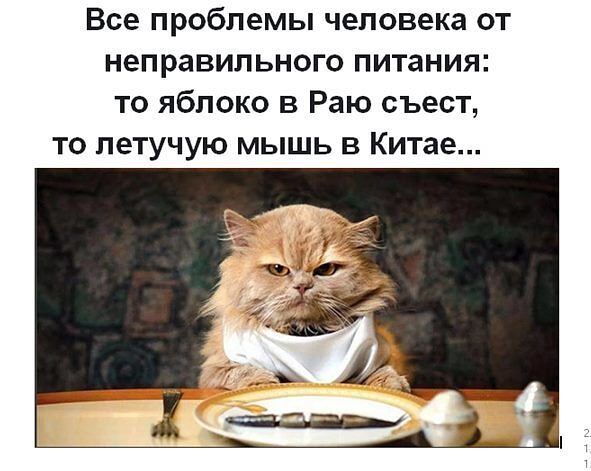 Все проблемы человека от неправильного питания то яблоко в Раю съест то летучую мышь в Китае