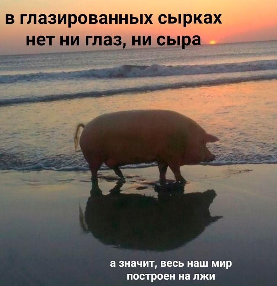 В ГЛЗЗИРОВЭННЫХ СЫРКЭХ НЕТ НИ глаз НИ сыра тц _ М