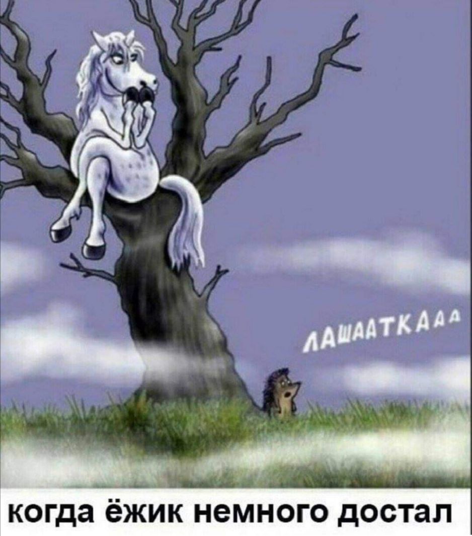 когда ёЖИК НЭМНОГО достал