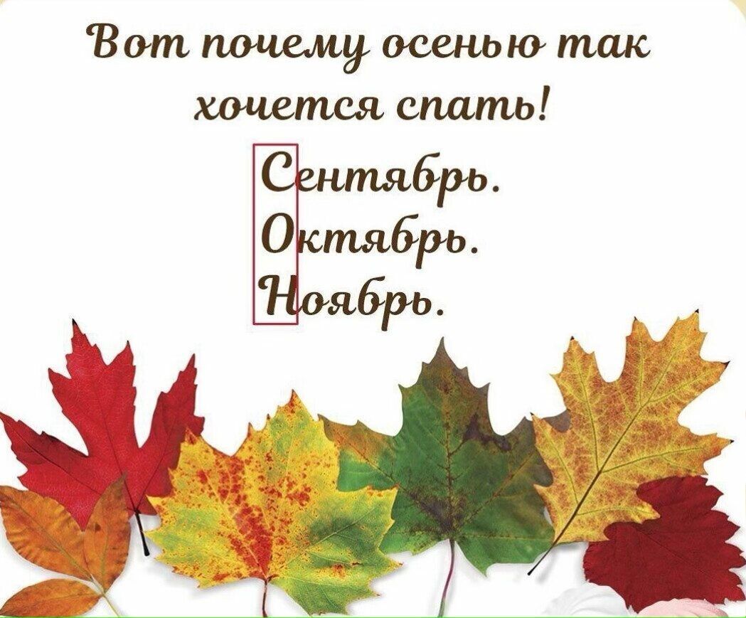 Вот почему осенью так спать