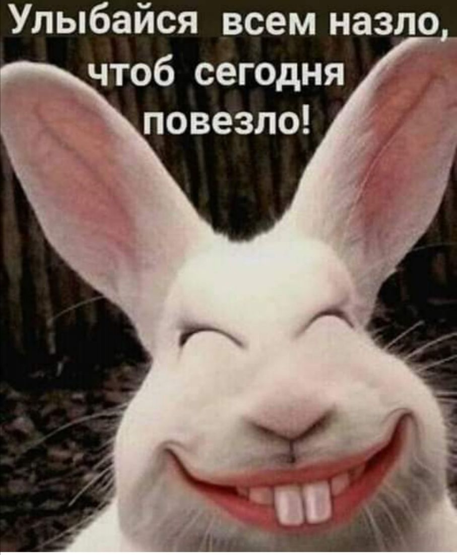 Улыбайся всем назло чтоб сегодня повезло