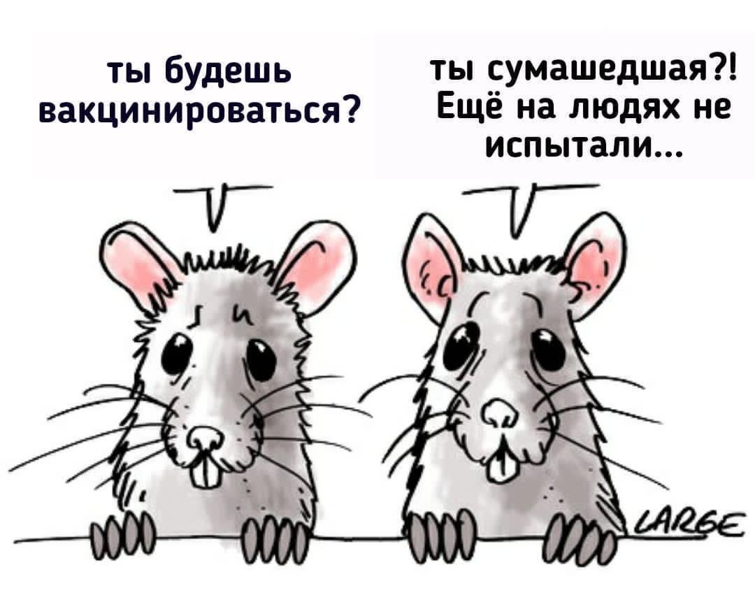 ты будешь ты сумашедшая вакцинироваться Ещё на ЛЮДЯХ не испытали