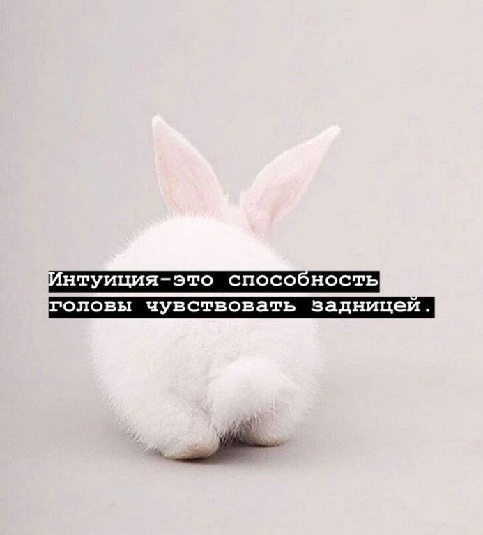 туицияэто сносе ность головы чувствовать задницеи
