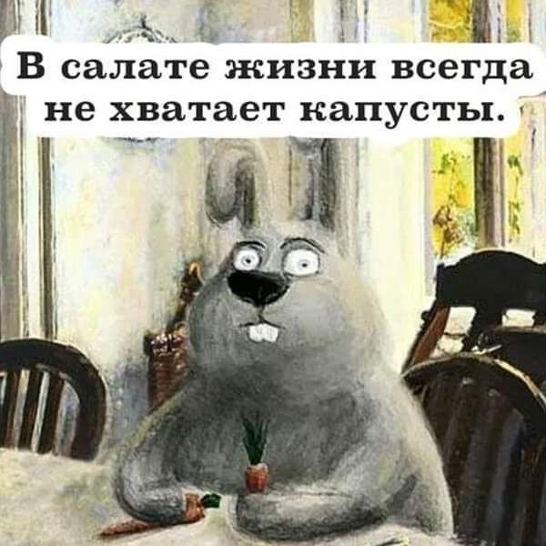 Ы У 7512 В салате жизни всегда не хватает капусты і
