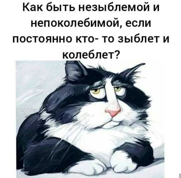 Как быть незыблемой и непоколебимой если постоянно кто то зыбпет и колеблет