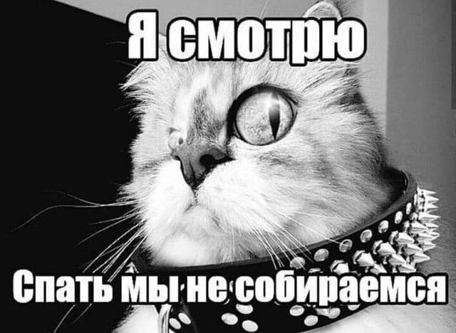 спатьы не соби здамся Д