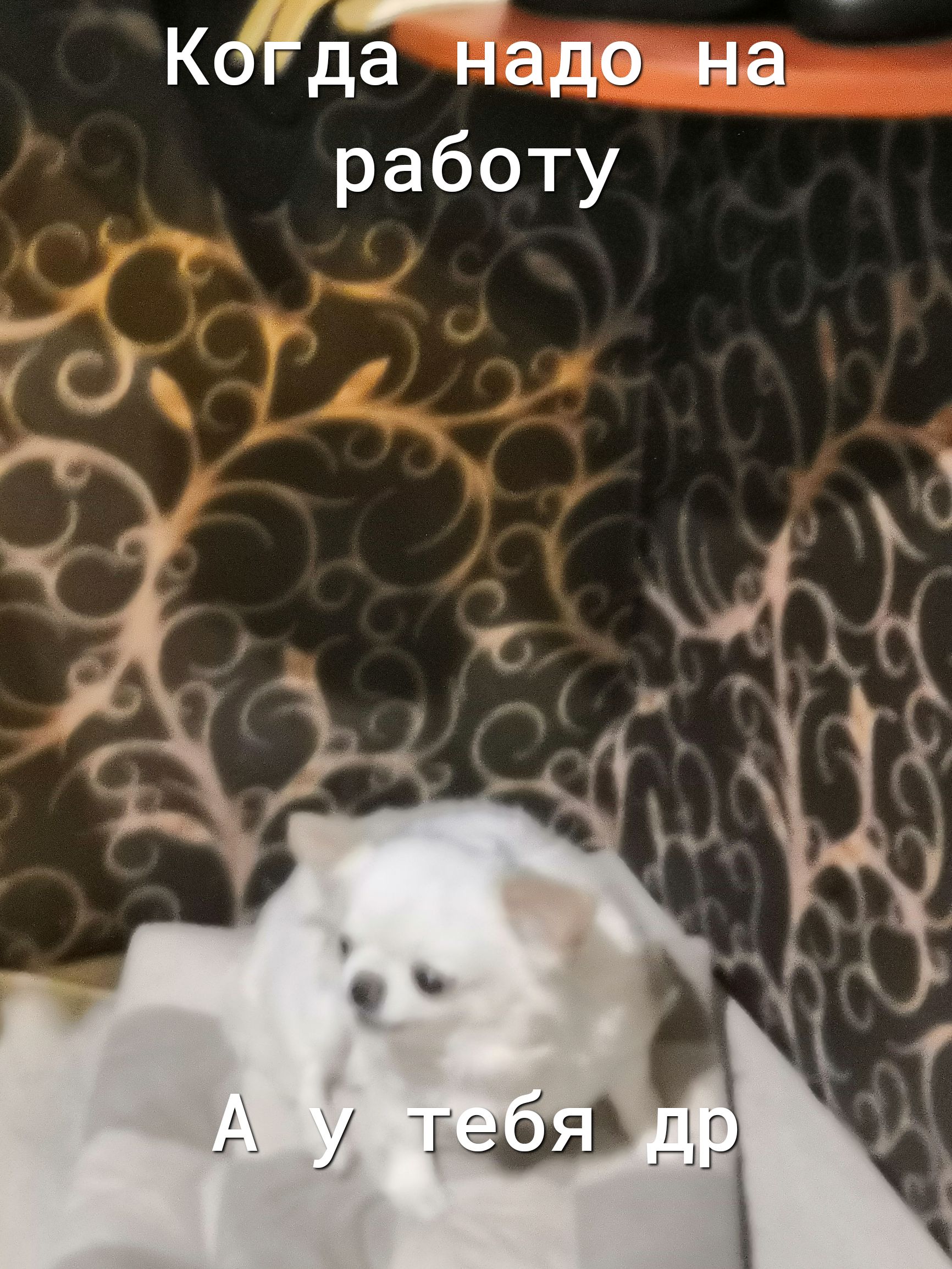 Дда надоднад к работу