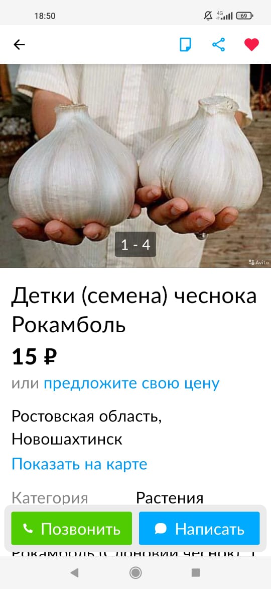1850 15 Е Детки семена чеснока Рокамболь 154 ИЛИ ПРЕДЛОЖИТе СВОЮ цену Ростовская область Новошахтинск ПОКЗЗЭТЬ на карте Категория Растения Позвонить Написать Рикимпппь пннпнии чп ч ник