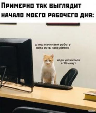 ПРИМЕРНП ТПК ВЫГЛПДИТ НПЧМП МПЕГП РПЕПЧЕГП ПНП _ _ по ачииави работу поп есть асшаеиие плаунапищи ш