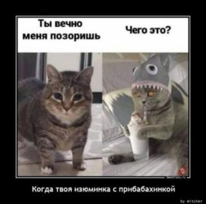Ты вечно меня пазоришь Чего это квин пм ипюмииин прибабіхиикой