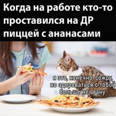 Когда на работе кто то проставипся на дР пиццей ананасами конечно с ожру и в здареватдёмЪбои