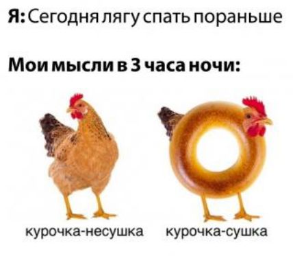 Я Сегодня пягу спать пораньше Мои мысли в 3 часа ночи курочка несушка курочка сушка