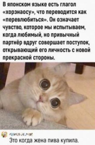 ВЦИОМ ЯЗЫК ОШГМПМ чхоржосу что пишите тк и решиться Он пишит чувство том мы пептид п тм люби ні по привычный магии вдруг совершит поступок его личность иші правдивой попоны ш и Это когда жена пива купила