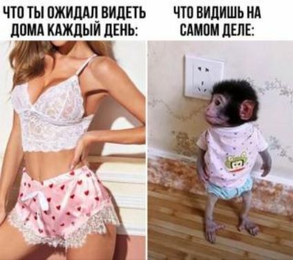 ЧТ0ТЬ ПЖИШП ВИДЕТЬ ЧШ ВШШЬЩ дощ КАЖДЫЙ ЛЕНЬ ВШМ ШБ