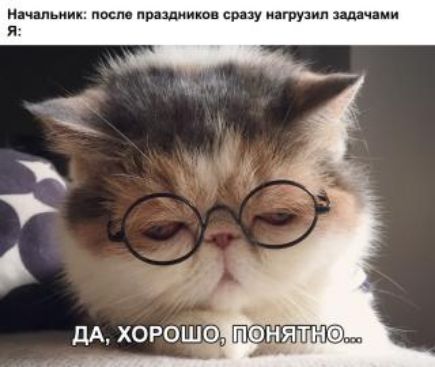 митинг после прплпию су ту ил