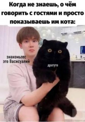Когда не знаешь о чём говорить с гостями и просто показываешь ии кота иакоинк по Ввсисуіпі