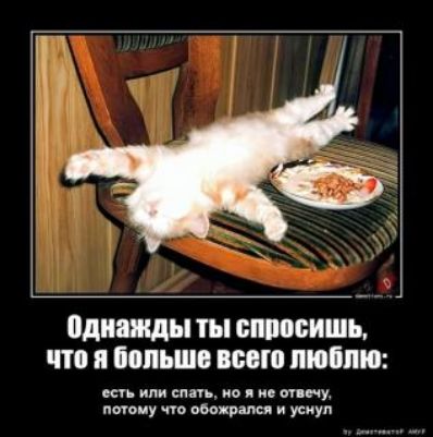 Однажды ты БШПОБИШЪ что И ШШЬШО ВБВ ПШПЮ или паь о ие тп су почему по пБо ршп и уснул