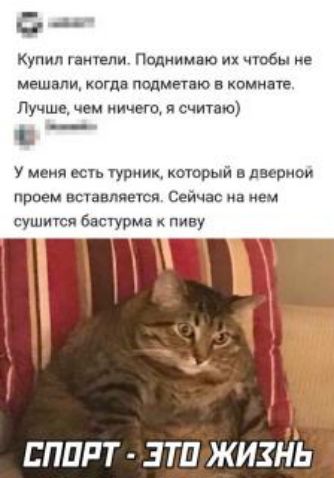 Ср Купил гантели Поднимаю их чтобы не мешми когда подменю в комнате Лучше чем отчего считаю У меня всп турник который в дверном проем вставляется Сейчас на нем сушится бастурма пиву спирт зтп жизйь