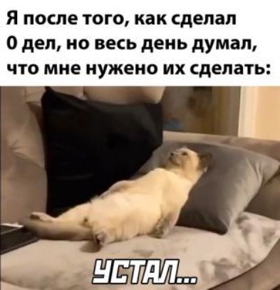 Я после того как сделал 0 дел но весь день думал что мне нужено их сделать