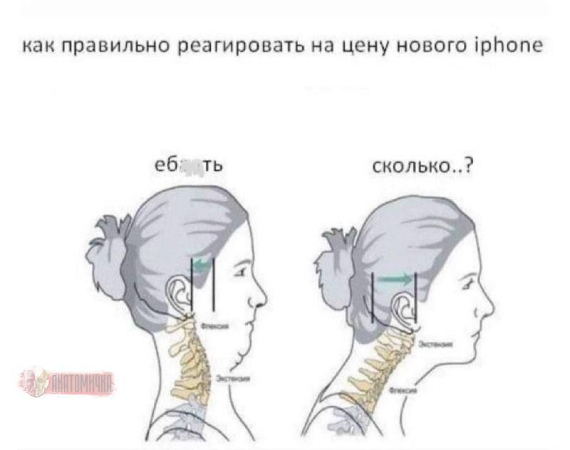 как правильно реагировать ня цену явного Мише гбц сколько