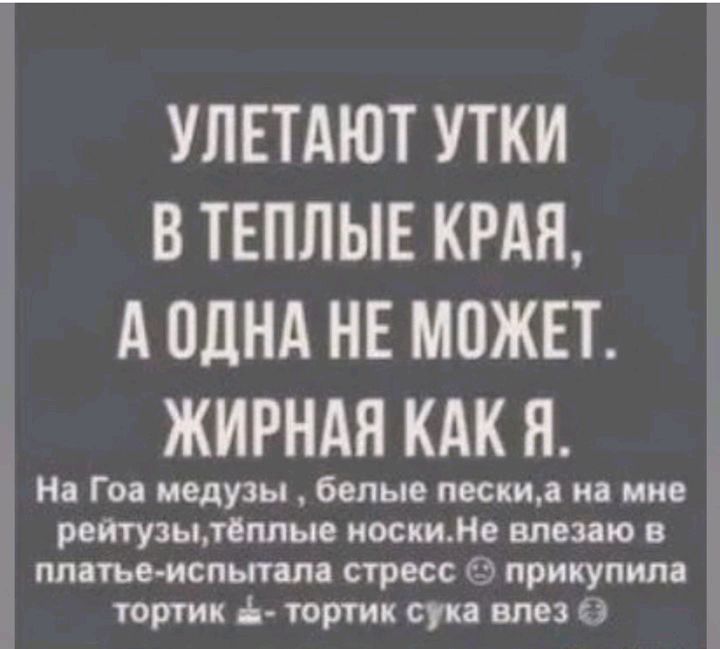 УЛЕТАЮТ УТКИ В ТЕПЛЫЕ КРАЯ А ОДНА НЕ МОЖЕТ ЖИРНАЯ КАК Я н Гоа медузы белые песни и ние реитузылеппые иосииНе впали в пппьеиспытшд стресс прикупила тортик і торггик суп вмз