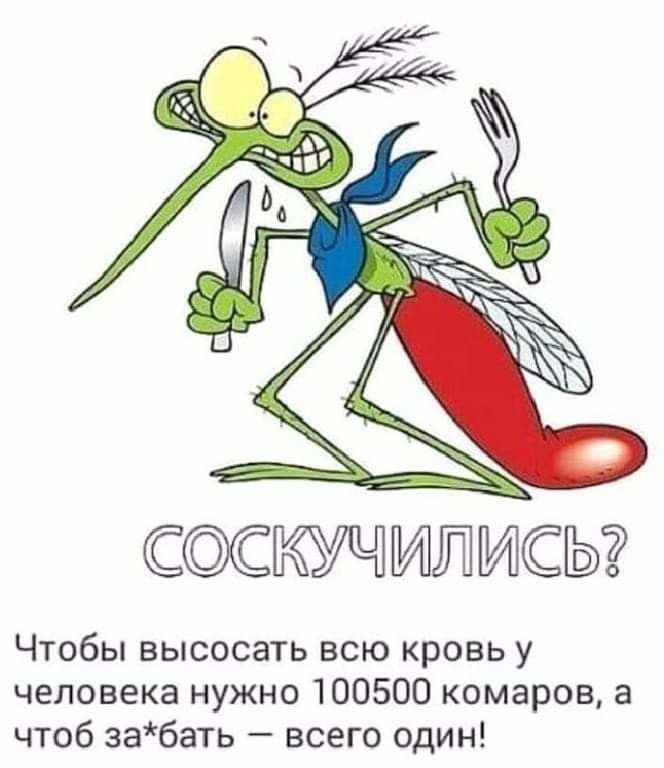 ССИЛИЫ Чтобы высосать всю кровь у человека нужно 100500 комаров а чтоб забать всего один