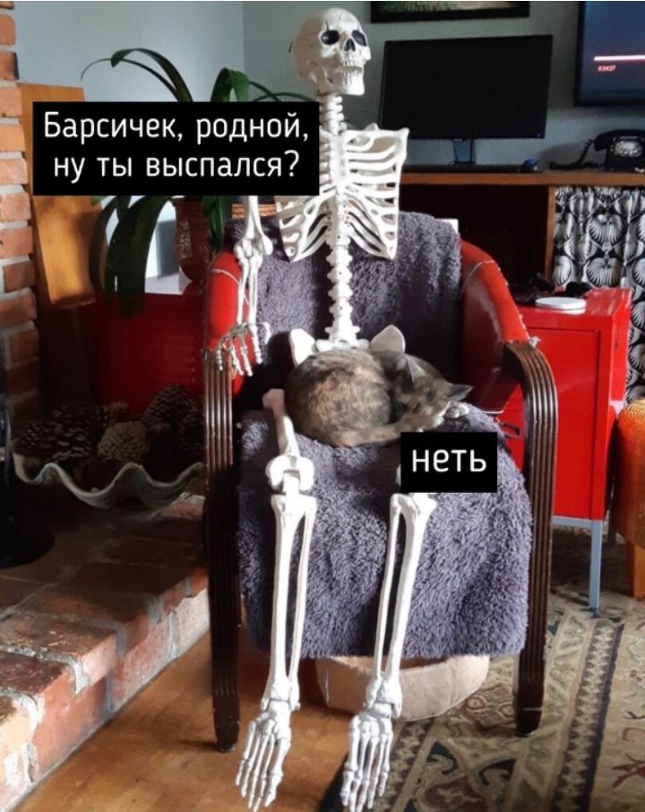 А Барсичек родной ну ты выспался