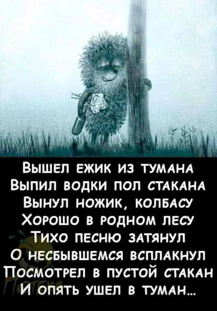 ВЫШЕЛ ЕЖИК ИЗ ТУМАНА ВЫПИЛ ВОДКИ ПОЛ СТАКАНА ВЫНУЛ НОЖИК КОЛБАСУ ХОРОШО В РОДНОМ ЛЕСУ ТИХО ПЕСНЮ ЗАТЯНУЛ О НЕСБЫВШЕМСЯ ВСПГМКНУЛ ПОСМОТРЕЛ В ПУСТОЙ СТАКАН И ОПЯТЬ УШЕЛ В ТУМАН