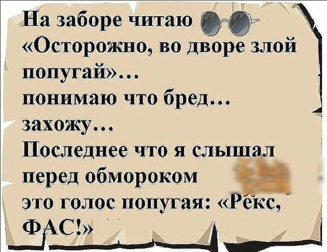 На заборе читаю 90 Осторожно во дворе злой попугай понимаю что бред захожу Последнее что я слыш перед обмороком это голос попугая Рекс ВРС