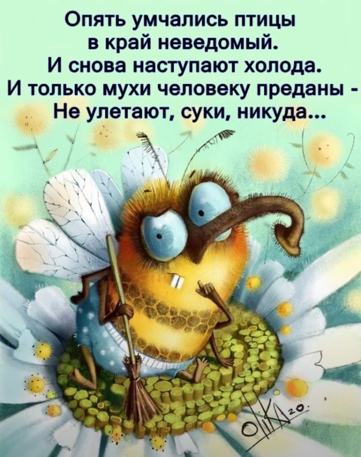 Опять умчались птицы в край неведомый И снова наступают холода И только мухи человеку преданы Не улетают суки никуда